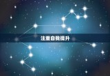 心思缜密逻辑性强的女生(如何在职场中脱颖而出)