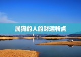 属狗的人佩戴什么旺财(如何提升财运)