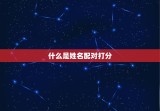 免费测算姓名配对打分(了解你们的缘分指数)
