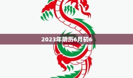 2023年阴历6月初6(端午节龙舟赛与粽子飘香)