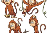 2023年属猴的多大啦(猴年大驾光临猴宝宝们即将迎来第一次生肖年)