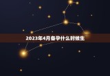 2023年4月备孕什么时候生，2024年几月龙一等命