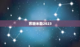 苏珊米勒2023.12(预测未来提示命运)