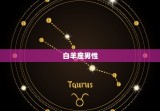 十二星座的星座男(谁是人选)