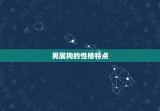 男属狗的婚配属相(如何选择配偶)