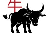 今日属牛人财运如何女人(财富运势大好)
