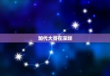 加代大哥在深圳，大哥可以加个微信嘛，你是在吗？