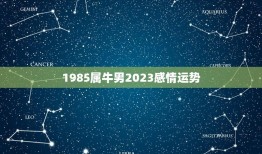 1985属牛男2023感情运势(爱情路上稳步前行)