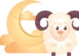 白羊座属于哪个星象的星座(解析星座与星象的关系)