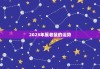 2023年属老鼠的运势，2023年属老鼠的运势如何