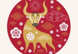 5月金牛座运势2023(财运亨通事业顺利)