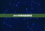 2023年男孩最佳取名 2023宝新颖的名字