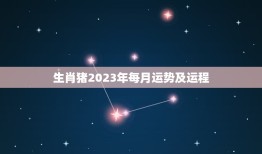 生肖猪2023年每月运势及运程(全年介绍)