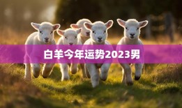 白羊今年运势2023男(顺风顺水财运亨通)