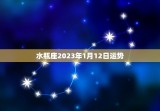 水瓶座2023年1月12日运势，水瓶座2023年1月12日运势曲线图紫薇星座网