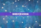 婚姻配对男女狗和鼠，婚姻配对男女狗和鼠相配吗
