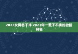 2023女网名干净 2023年一辈子不换的微信网名