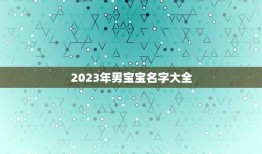 2023年男宝宝名字大全(精选流行文艺古风等多种取名方式)