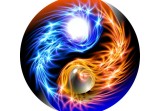 43岁属啥的哪年出生的(解密你的星座和出生年份)