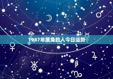 1987年属兔的人今日运势，1987年属兔今日财运