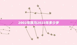 2002年属马2023年多少岁(马年人的年龄计算方法)