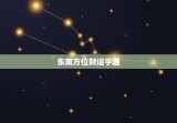 属鼠今年财运哪个方位(介绍2023年属鼠财运走势)