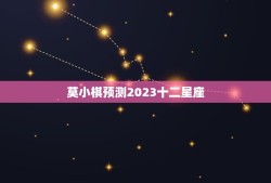 莫小棋预测2023十二星座，暗恋赵丽颖
