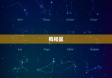 狗和什么属相结婚(如何选择婚配属相)