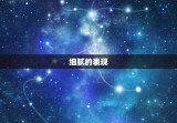 天秤女深爱一个人的样子(细腻温柔爱意无限)