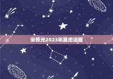 宋照光2023年属虎运程，宋韶光2023运程每月运势