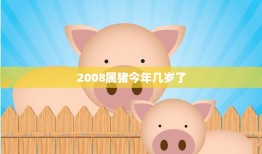 2008属猪今年几岁了(猪年人的年龄计算方法)