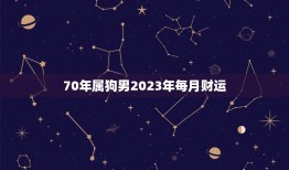 70年属狗男2023年每月财运(财源滚滚财富不断涌现)