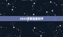 2023年紫薇星知乎(未来的智慧平台)