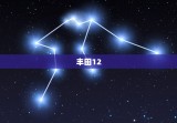 丰田12.7W的那款是什么车，丰田11万的是什么车