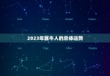 黄历属牛今年运势如何(2023年属牛人运势大介绍)