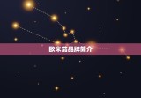 欧米茄世界排名第几位(介绍欧米茄在全球的地位)