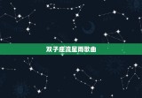 双子座流星雨歌曲，处女座流星雨2023