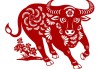 属牛人最近三天财运如何(财运亨通财源滚滚来)