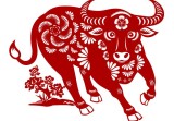 属牛人最近三天财运如何(财运亨通财源滚滚来)