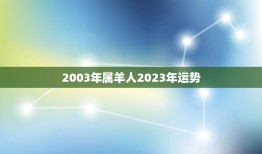 2003年属羊人2023年运势(未来三年财运旺盛但需注意健康问题)