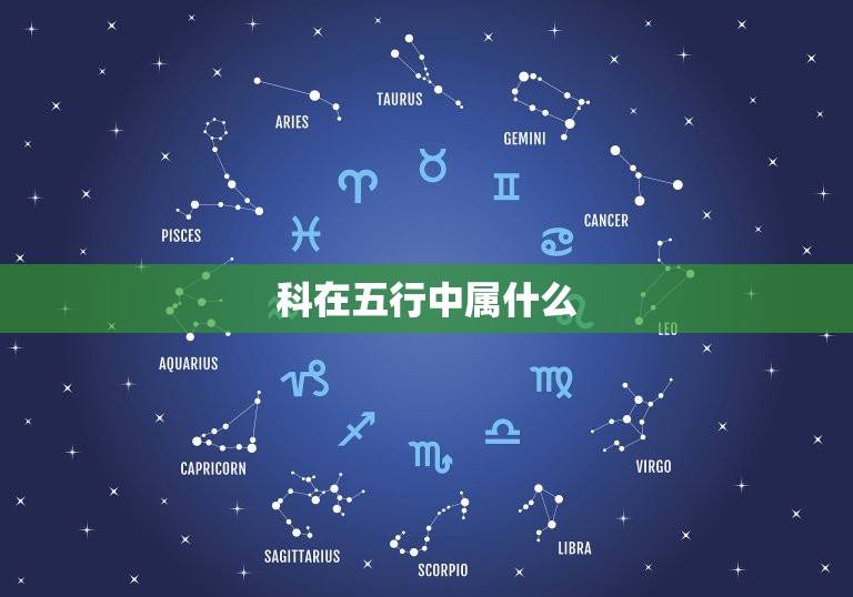科在五行中属什么，从五行来看，文科的专业或  第1张