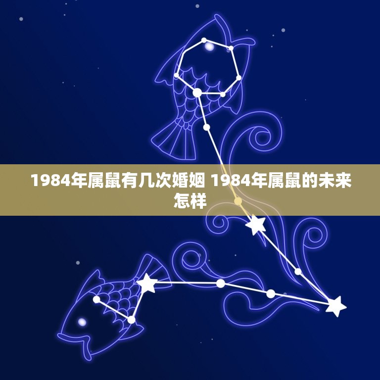 1984年属鼠有几次婚姻 1984年属鼠的未来怎样  第1张