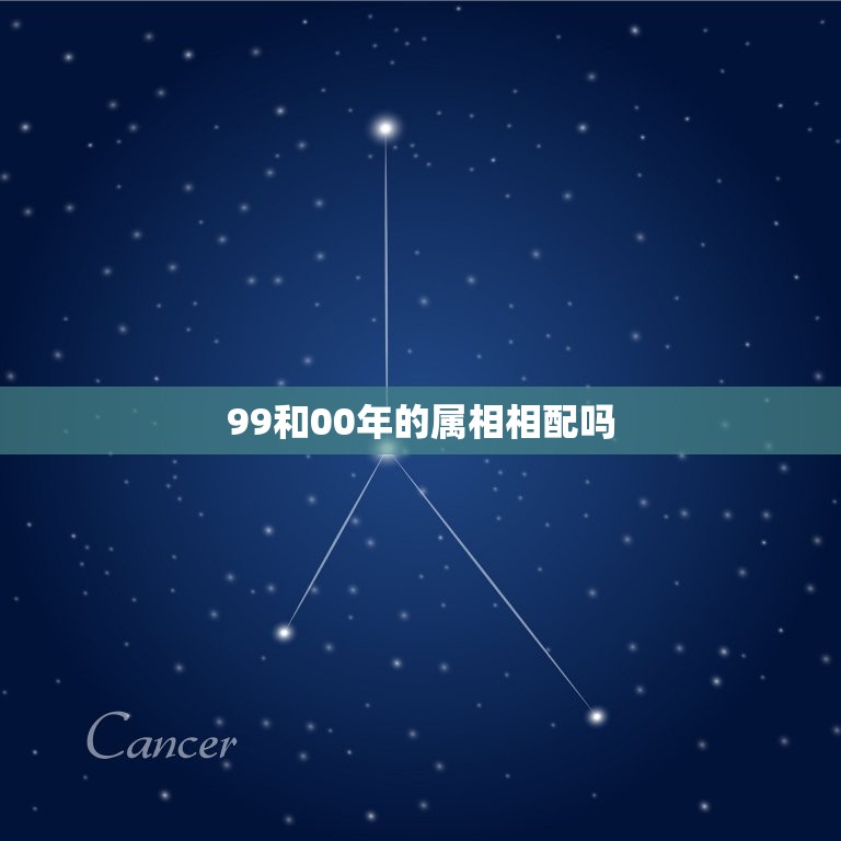 真实的1999年属什么的视图