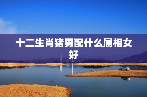 十二生肖猪男配什么属相女好，属猪的男生配什么属相最好？  第1张