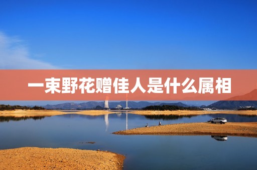 一束野花赠佳人是什么属相，“宝剑赠英雄，红粉赠佳人 ”中“红粉”是什么  第1张