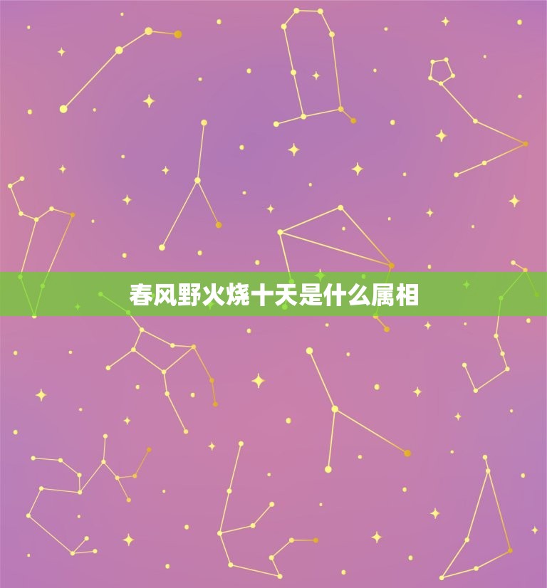 春风野火烧十天是什么属相，春风野火烧九天是什么生肖  第1张