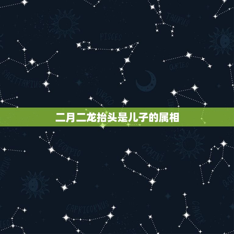二月二龙抬头是儿子的属相，二月二龙抬头我不知道，凌晨一点多了，我儿  第1张
