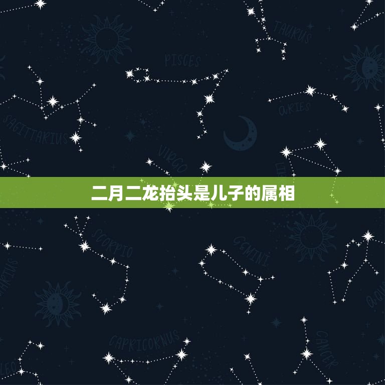 二月二龙抬头是儿子的属相，二月二龙抬头我不知道，凌晨一点多了，我儿