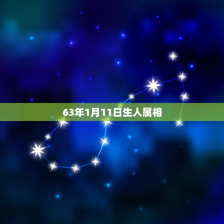 63年1月11日生人属相，1963年农历1月11日出生的人在2015的  第1张