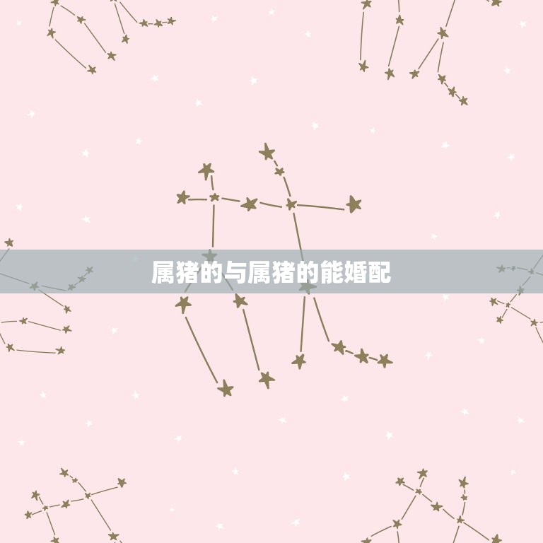 属猪的与属猪的能婚配，属猪与属猪婚配如何？  第1张